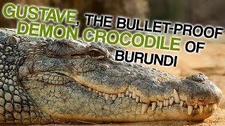 Are Crocodiles Bulletproof