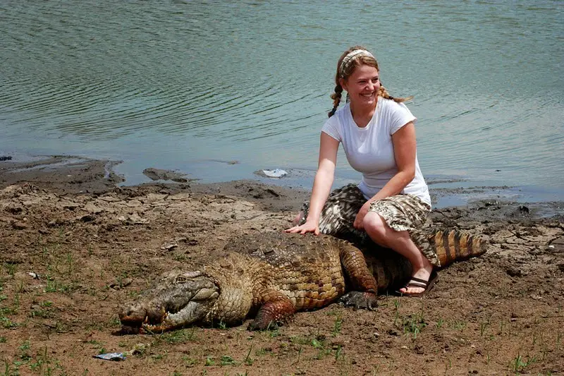 Can Crocodiles Be Friendly