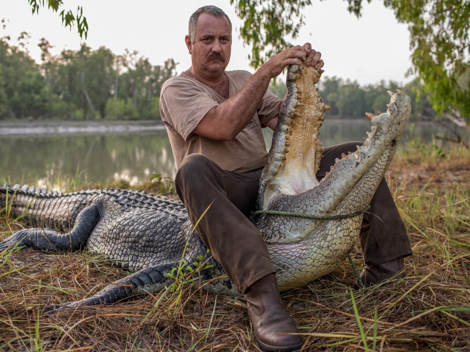 What Color is Crocodile