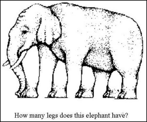 How Many Legs Does the Elephant Have