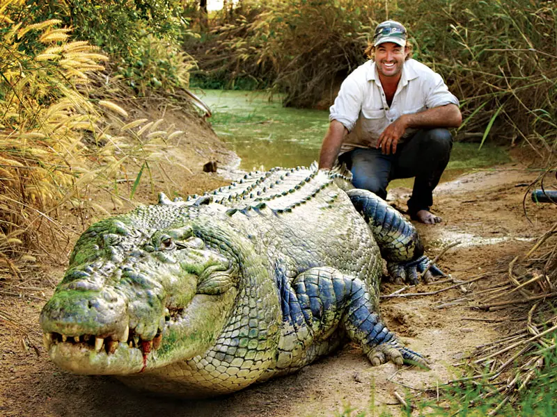 How Much Does Matt Wright Charge to Catch a Crocodile