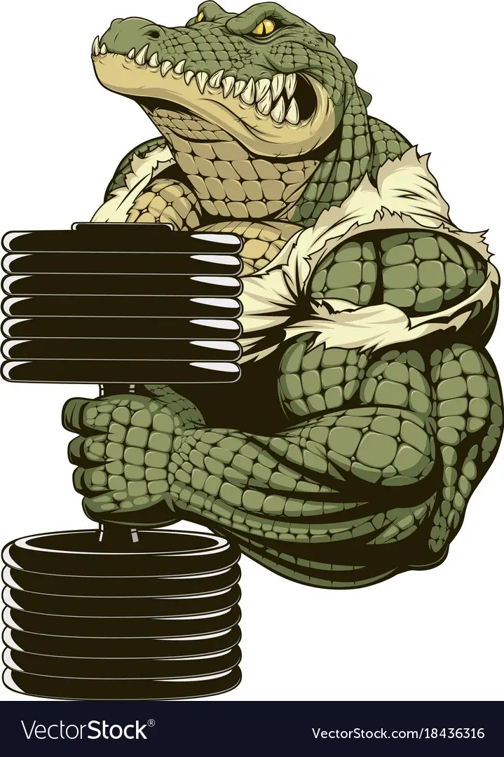 How Strong is Crocodile
