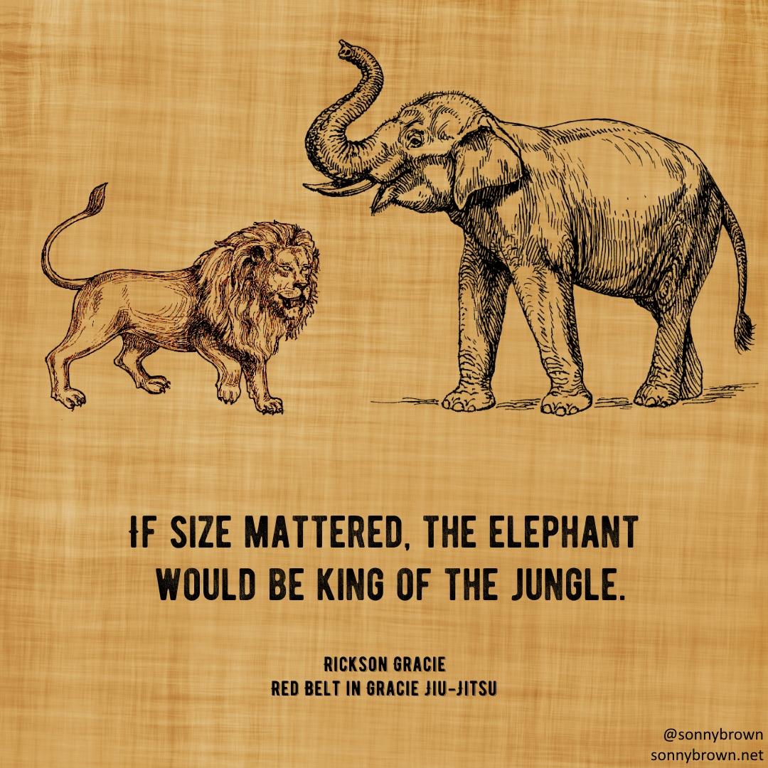 Is the Elephant the King of the Jungle