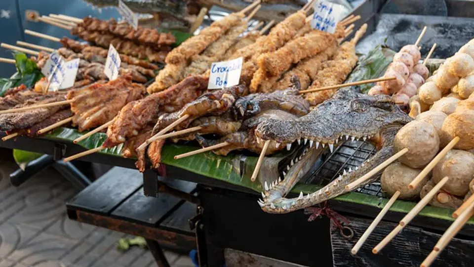 Where to Buy Crocodile Meat