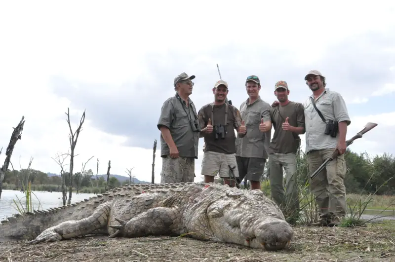 Who Hunts Crocodiles