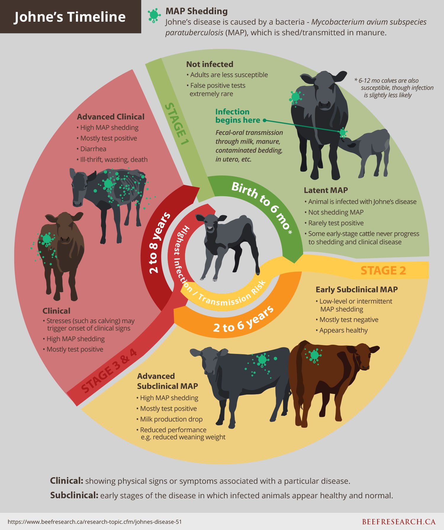 How to Prevent Johne'S Disease in Cattle